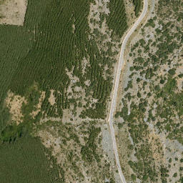 Satellite imagery of survey_point, DZ