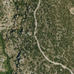 Satellite imagery of survey_point, DZ