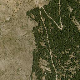 Satellite imagery of survey_point, DZ