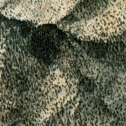 Satellite imagery of Gold Bug Prospect, US