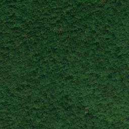Satellite imagery of Carson Ridge, US