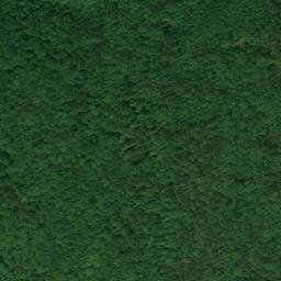 Satellite imagery of Carson Ridge, US