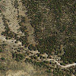 Satellite imagery of survey_point, ES