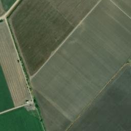 Satellite imagery of survey_point, DZ
