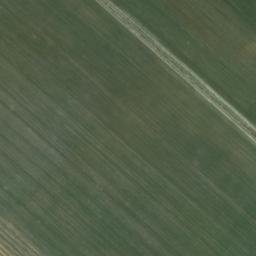 Satellite imagery of survey_point, DZ