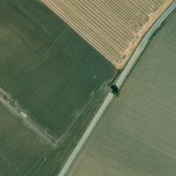 Satellite imagery of survey_point, DZ