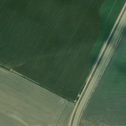Satellite imagery of survey_point, DZ