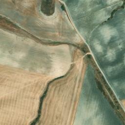 Satellite imagery of survey_point, DZ