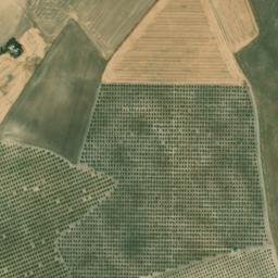 Satellite imagery of survey_point, DZ