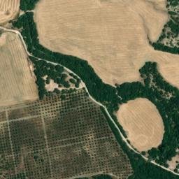 Satellite imagery of survey_point, DZ