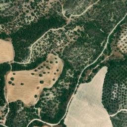 Satellite imagery of survey_point, DZ