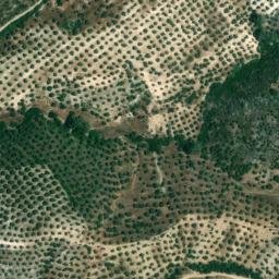 Satellite imagery of survey_point, DZ