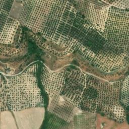 Satellite imagery of survey_point, DZ