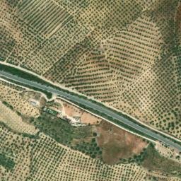 Satellite imagery of survey_point, DZ