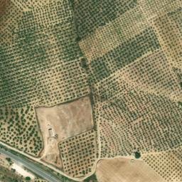 Satellite imagery of survey_point, DZ