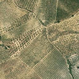 Satellite imagery of survey_point, DZ