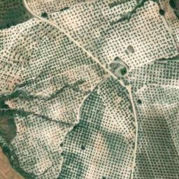 Satellite imagery of survey_point, DZ