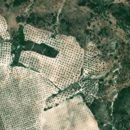 Satellite imagery of survey_point, DZ
