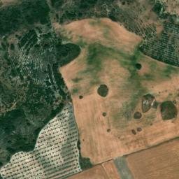 Satellite imagery of survey_point, DZ