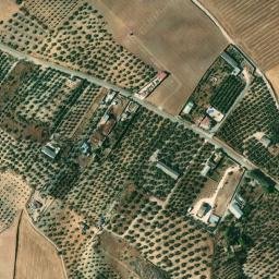 Satellite imagery of survey_point, DZ