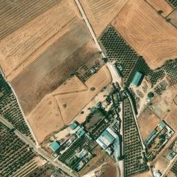 Satellite imagery of survey_point, DZ