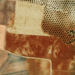 Satellite imagery of survey_point, DZ