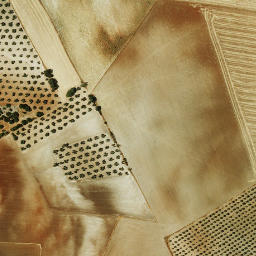 Satellite imagery of survey_point, DZ