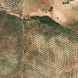 Satellite imagery of survey_point, DZ