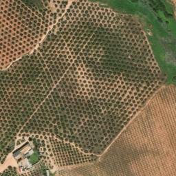 Satellite imagery of survey_point, DZ