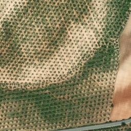 Satellite imagery of survey_point, DZ
