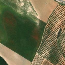 Satellite imagery of survey_point, DZ
