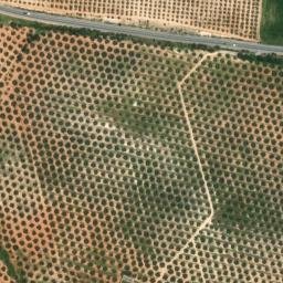 Satellite imagery of survey_point, DZ