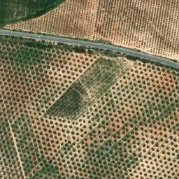 Satellite imagery of survey_point, DZ