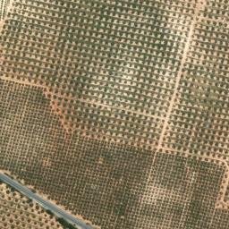 Satellite imagery of survey_point, DZ