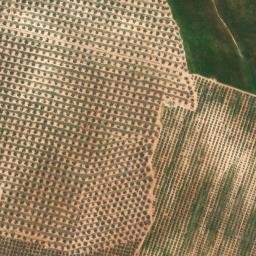 Satellite imagery of survey_point, DZ