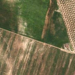 Satellite imagery of survey_point, DZ