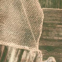 Satellite imagery of survey_point, DZ