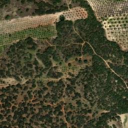 Satellite imagery of survey_point, DZ