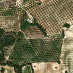 Satellite imagery of survey_point, DZ