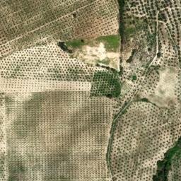 Satellite imagery of survey_point, DZ