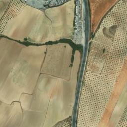 Satellite imagery of survey_point, DZ