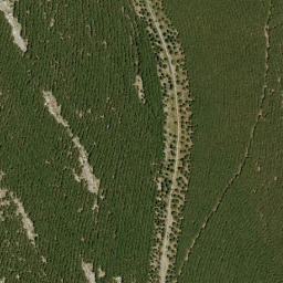 Satellite imagery of survey_point, DZ
