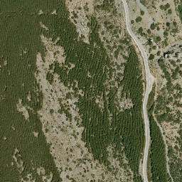 Satellite imagery of survey_point, DZ