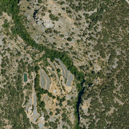 Satellite imagery of survey_point, DZ
