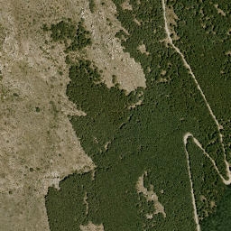 Satellite imagery of survey_point, DZ