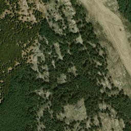 Satellite imagery of survey_point, DZ