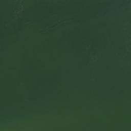 Satellite imagery of Silver Cliffs, US