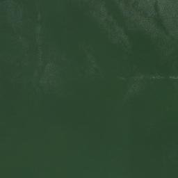 Satellite imagery of Silver Cliffs, US