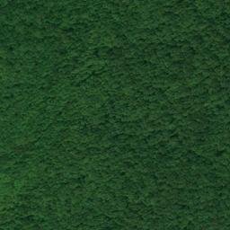 Satellite imagery of Carson Ridge, US