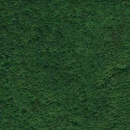 Satellite imagery of Carson Ridge, US